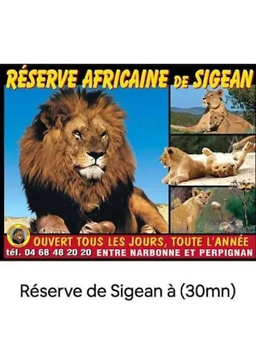 La Veille 1 *