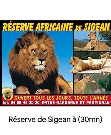 La Veille 1 *